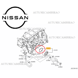 Guarnizione o-ring scambiatore di calore NISSAN CABSTAR F24 KING CAB D22 NAVARA D40 NP300 2.5DCI/VDI 16V Turbo 21304BN301