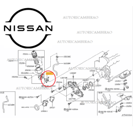 Guarnizione supporto filtro olio NISSAN CABSTAR F24 KING CAB D22 NAVARA D40 NP300 2.5DCI/VDI 16V Turbo 15239VK500 01071100